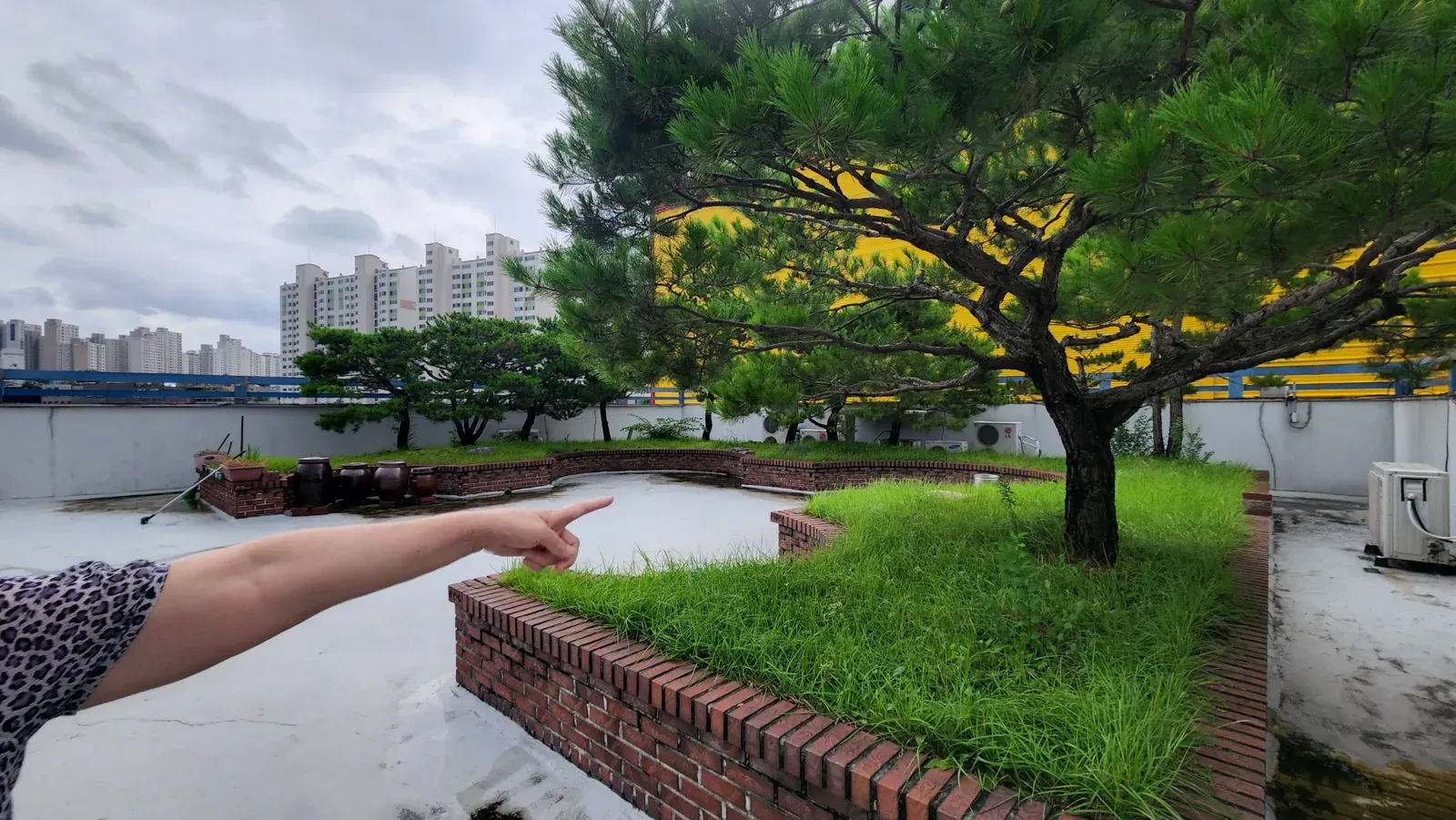 옥상 화단 주변 확인
