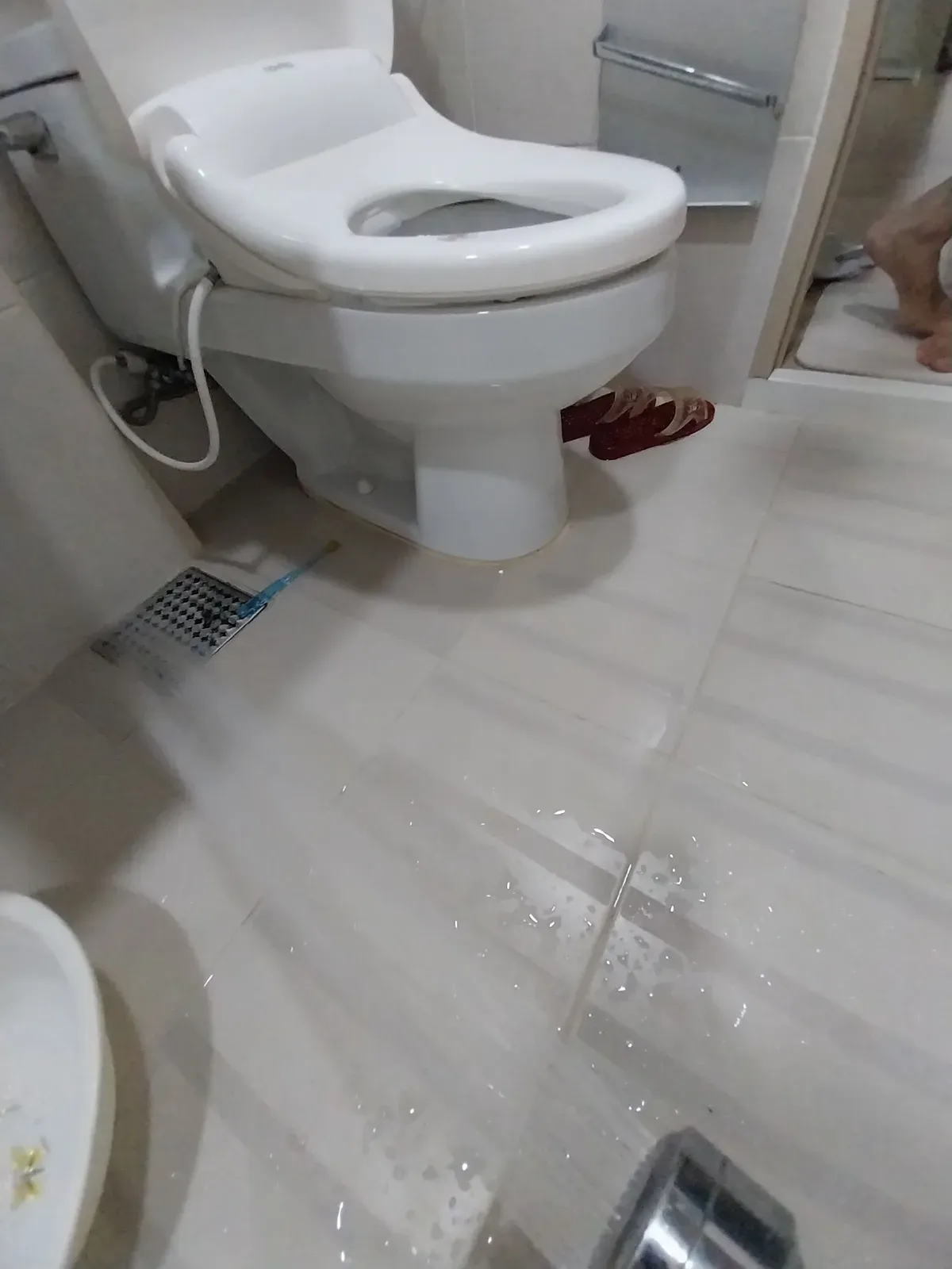 변기 옆 배수구 주변 물기