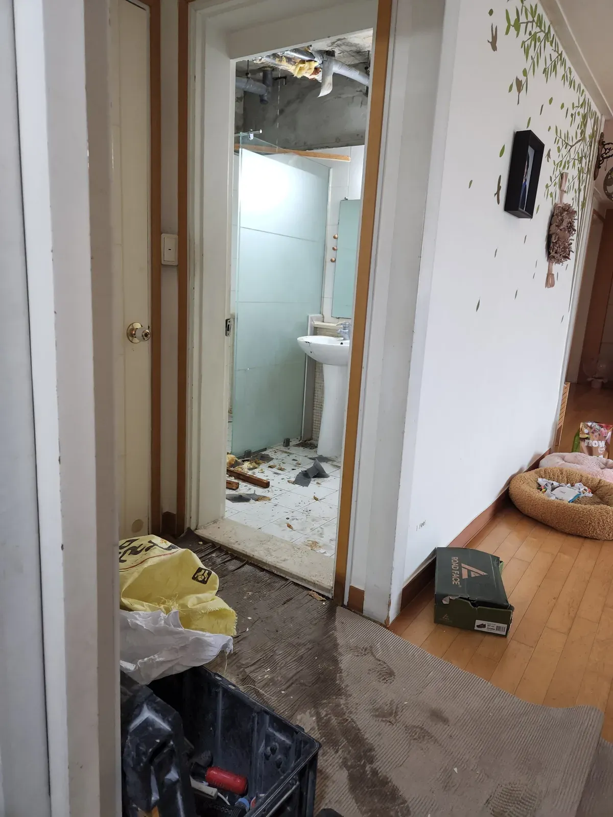 천장과 바닥을 연 욕실
