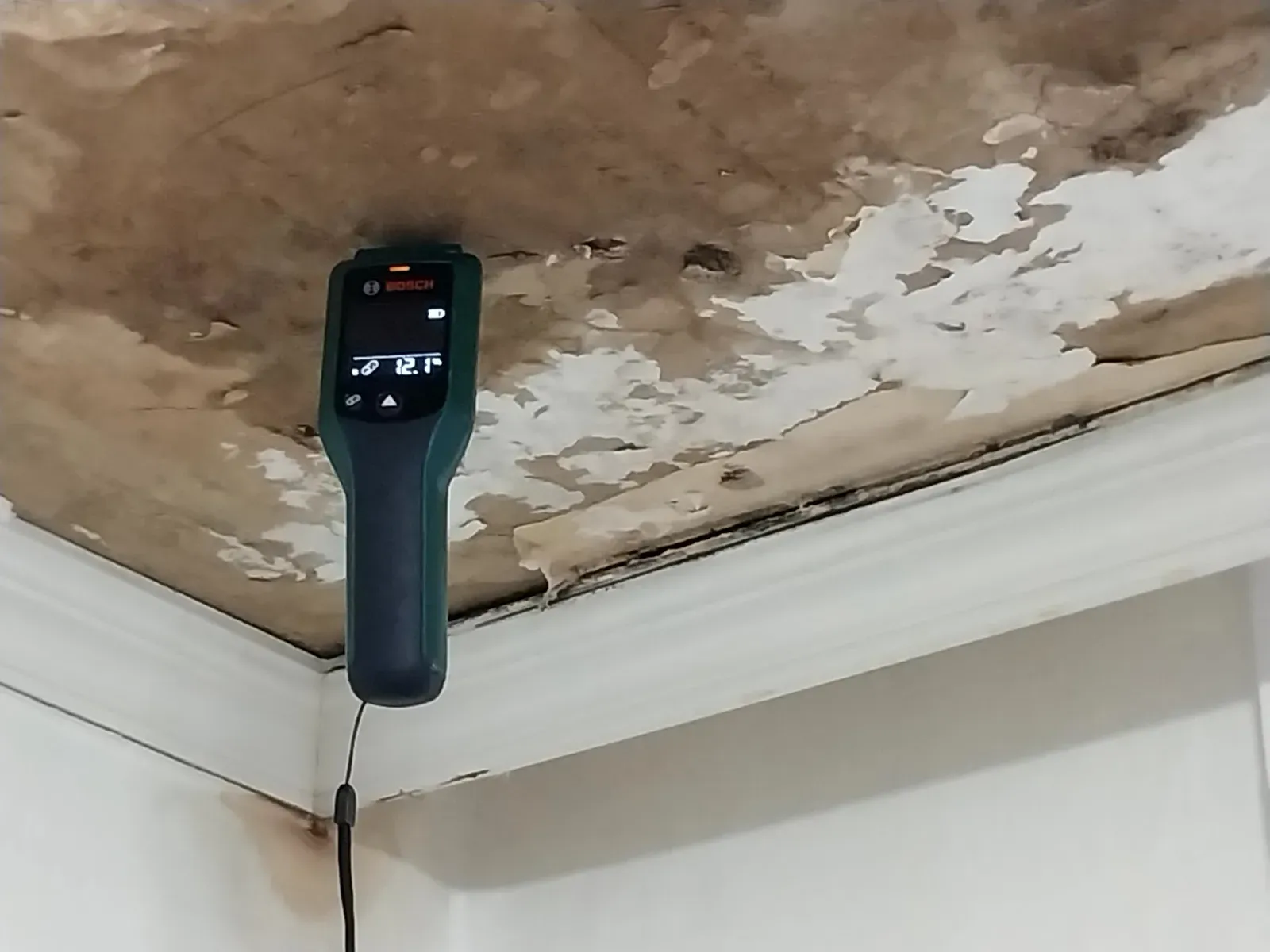 벗겨진 천장 수분 측정